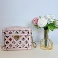 thumbnail image 2 of Michael Kors Theodora Small Zip Trunk Mk Leather Crossbody Bag Powder Blush, 2 of 7