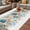 Green Blue Teal, variant on Teal Blue Brown Beach Coastal Outdoor Rug for Patio/Deck, Non-Slip Large Area Rug 6 x 9 Ft, Nautical Shell Starfish Coral Summer Indoor Outdoor Rugs Washable Area Rugs, Camping Rug Carpet Runner