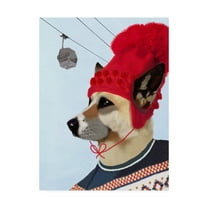 Trademark Fine Art 'Dog In Ski Sweater' Canvas Art by Fab Funky