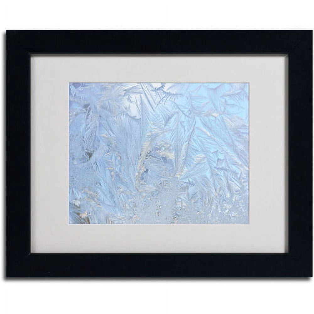 Trademark Fine Art "Frost Pattern 3" Canvas Art by Kurt Shaffer, Black Frame