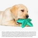 thumbnail image 3 of Floating Sound Dog Toy Molars Dog Toothbrush Pet Toys, 3 of 5
