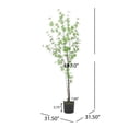 thumbnail image 6 of 150CM ARTIFICIAL DISC LEAF TREE, 6 of 13