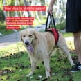 thumbnail image 4 of Dog Lift Support Harness for Small Dogs Portable Soft Dog Sling for Back Legs S Black, 4 of 4