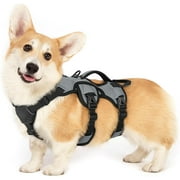 rabbitgoo Escape Proof Dog Harness, Soft Padded Full Body Pet Harness, Reflective Adjustable No Pull Vest with Lift Handle and Lesh Clip for Large Dogs Walking Hiking Training, Gray