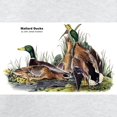 thumbnail image 3 of CafePress - Audubon Mallard Ducks (Front) Sweatshirt - Crew Neck Sweatshirt, 3 of 4