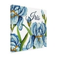thumbnail image 2 of Trademark Fine Art 'Iris Blue White' Canvas Art by Jean Plout, 2 of 3