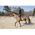 thumbnail image 6 of Equestrian Jump Bat, 6 of 8