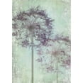 thumbnail image 2 of Stalus, Judy 18x24 Black Ornate Wood Framed with Double Matting Museum Art Print Titled - Allium Globe Master, 2 of 4