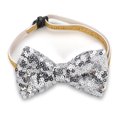 thumbnail image 4 of 35PCS Pet Party Decoration Kit Cute Letter Balloon String Light Pet Bowtie, 4 of 10