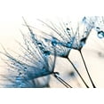 thumbnail image 2 of PhotoINC Studio 24x18 White Modern Wood Framed Museum Art Print Titled - Mystic Blue, 2 of 4