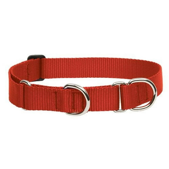 1in Red 19-27 Martingale Dog Collar
