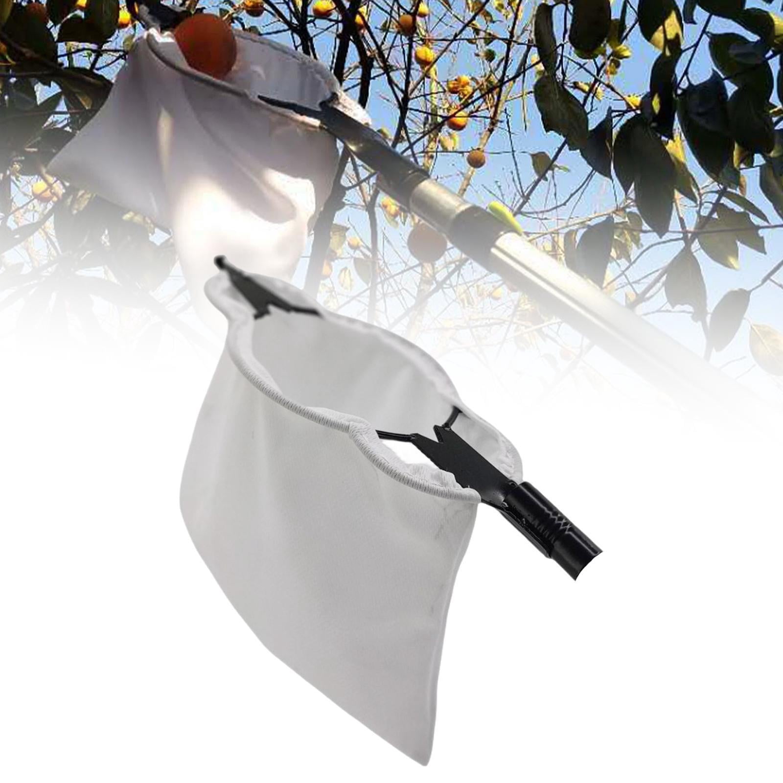 figatia Fruit Picking Basket, Fruit Grabber Basket, Tree Picker, Lightweight Fruit Picking Tool, Fruit Catcher for Peaches, Cherries And Mangoes