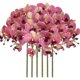 thumbnail image 1 of Flores Artificiales de phalaenopsis, 6 Piezas de Flores de orquídea Artificiales para decoración del hogar (Morada), 1 of 4