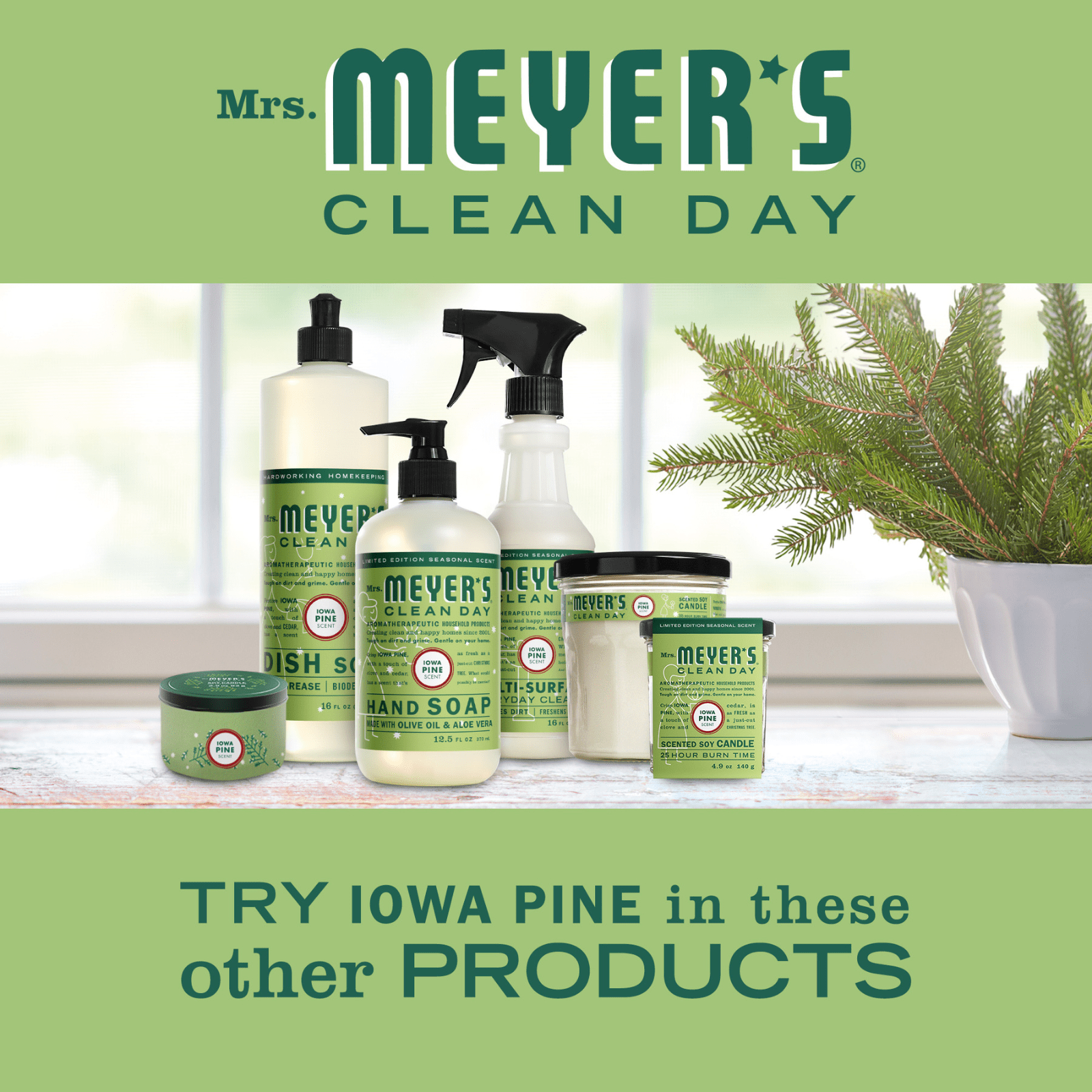 Mrs. Meyer’s Clean Day Liquid Dish Soap 3 Pack Variety, Iowa Pine, Peppermint, Gingerbread, 16 oz Each, 1 ct