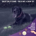 thumbnail image 3 of Fetch Balls Chew King Glowing para perros con lanzador de bolas, 3 of 17