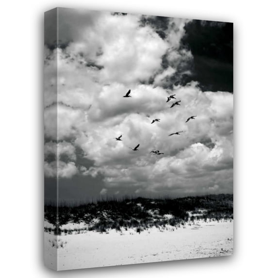 Alan Hausenflock 28x40 Gallery Wrapped Canvas Wall Art Titled - Pelicans over Dunes VI