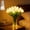 White, variant on Radiant Romantic Tulip Light, Twinkling Tree Tulips, 15 PCS Twinkling LED Tulips That Never Fade, Flower Shaped Ambient Night Lamp for Bedroom Bedside Home Decor and Holiday Gift