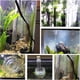thumbnail image 4 of Glass Transparent Tube Inflow with Surface Skimmer for Plants Aquarium Canister Filter Inflow Glass Tube Outer Diameter 17MM, 4 of 5