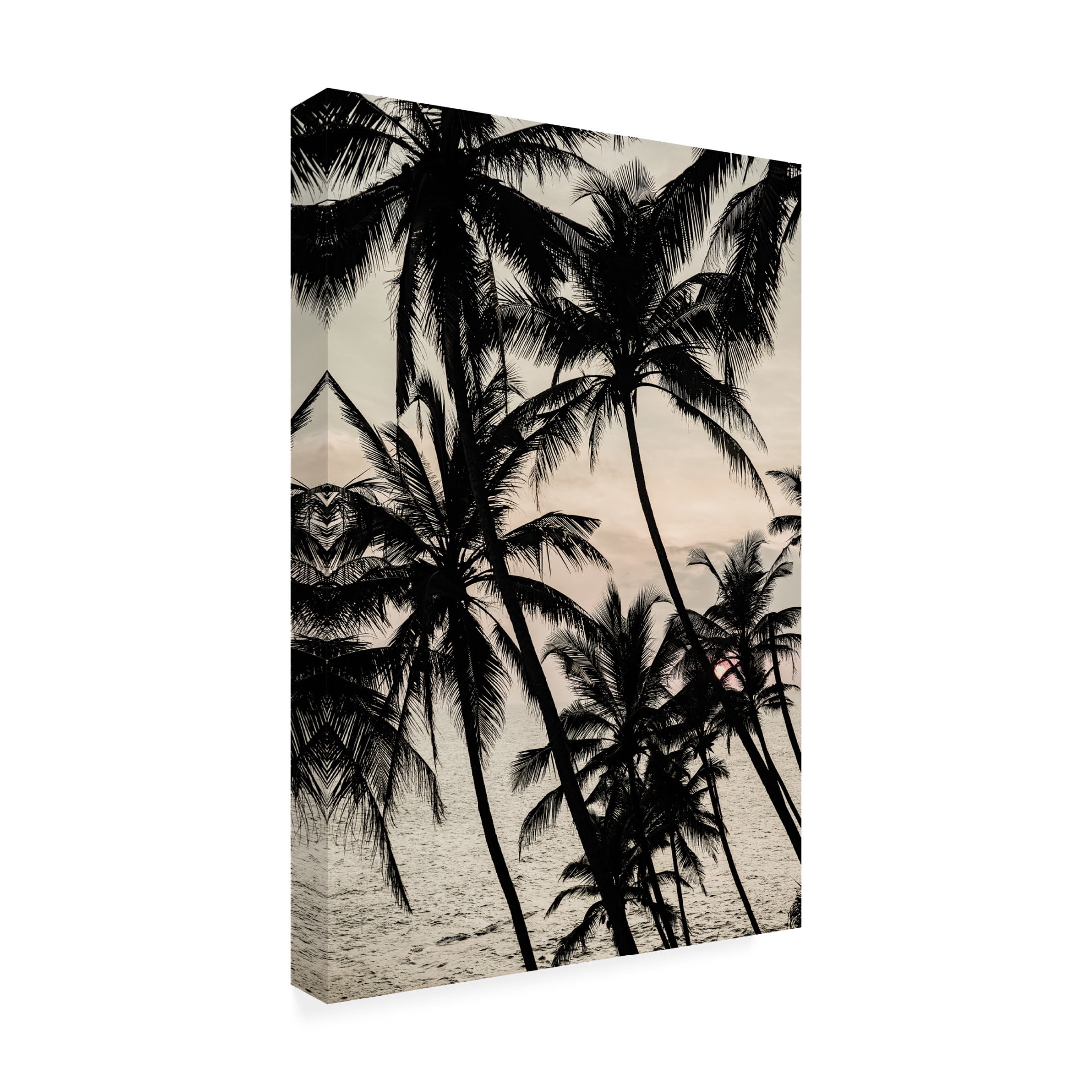 Trademark Fine Art Shot by Clint Light My Fire Canvas Wall Art