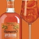 thumbnail image 2 of Pack de 2 Aperitivo Mionetto 500 ml, 2 of 3
