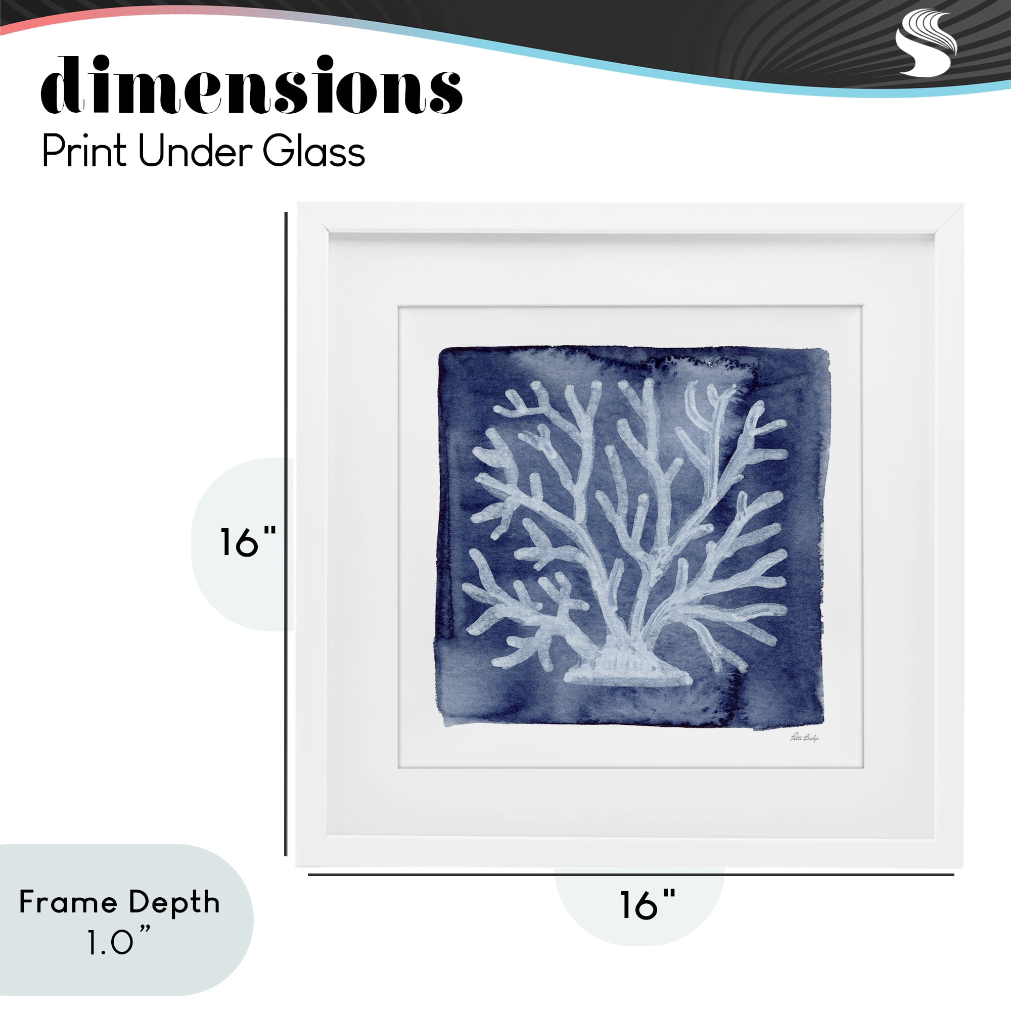 Stupell Industries White Coral on Indigo White Framed Print Under Glass, design by Patti Bishop