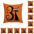 thumbnail image 2 of Cateissary Fundas de cojín hipoalergénicas y absorbentes de humedad para un hogar saludable nueva funda de almohada de Halloween XM275-1 XM275-1 10Conjunto, 2 of 6