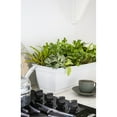 thumbnail image 3 of The HC Companies 24 Inch Eclipse Window Box with Removable Saucer, Terra Cotta, 3 of 5