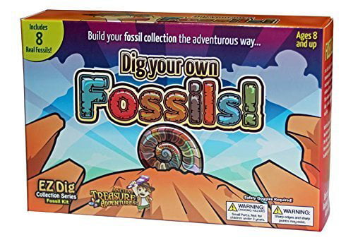 Dig Your Own Fossils Box 