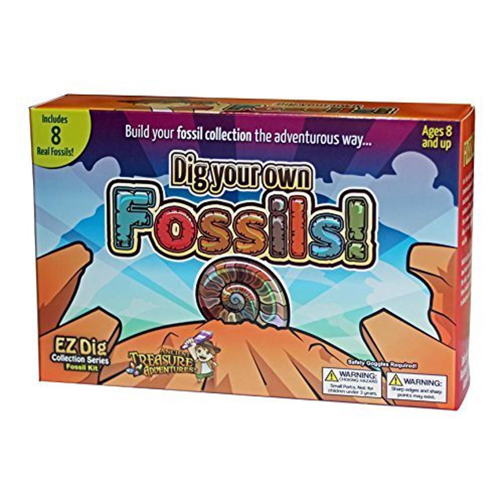 dig it up fossils