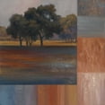 thumbnail image 2 of Rhyan, Vivien 26x26 Black Ornate Wood Framed with Double Matting Museum Art Print Titled - Rhythms of Landscape II, 2 of 4