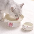 thumbnail image 6 of Elevated Cat Food Bowl, Ceramic Raised and Tilted Water Bowl, Anti Vomiting and Protect Pets' Spines Dishes for Small Dog, Fat Faced Cat, Kitten _ Yellow _ S, 6 of 6