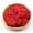 Red, variant on Tucknest Artificial Moss, 0.35 oz Faux Moss for Crafts, Preserved Natural Dry Moss for Potted Plants Home Decor, Red