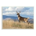 thumbnail image 1 of Stupell Industries White-Tail Buck in Wild Montana Mountains Blue Sky, 13 x 19, Designed by Larry McFerrin, 1 of 1