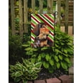 thumbnail image 2 of Carolines Treasures LH9256-FLAG-PARENT Dachshund Candy Cane Holiday Christmas  Flag  multicolor, 2 of 2