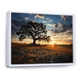 thumbnail image 2 of Designart "Sunset Orange Bonnets Field" Blue Bonnets Floater Framed Wall Art Prints, 2 of 5