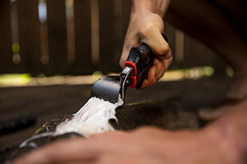 Ugly Tools Fish Skinner