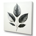 thumbnail image 2 of Designart "Outlined In Black Onyx Leaf" Leaves Canvas Prints, 2 of 7