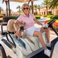 thumbnail image 3 of Golf Cart Seat Covers for 2 Seater,Farmhouse Feather Microfiber Cart Seat Towel Blanket,Watercolor Vintage Wooden Grain Absorbent Breathable Non Slip Bench Seats Protector for Golf Course 51"x31", 3 of 9