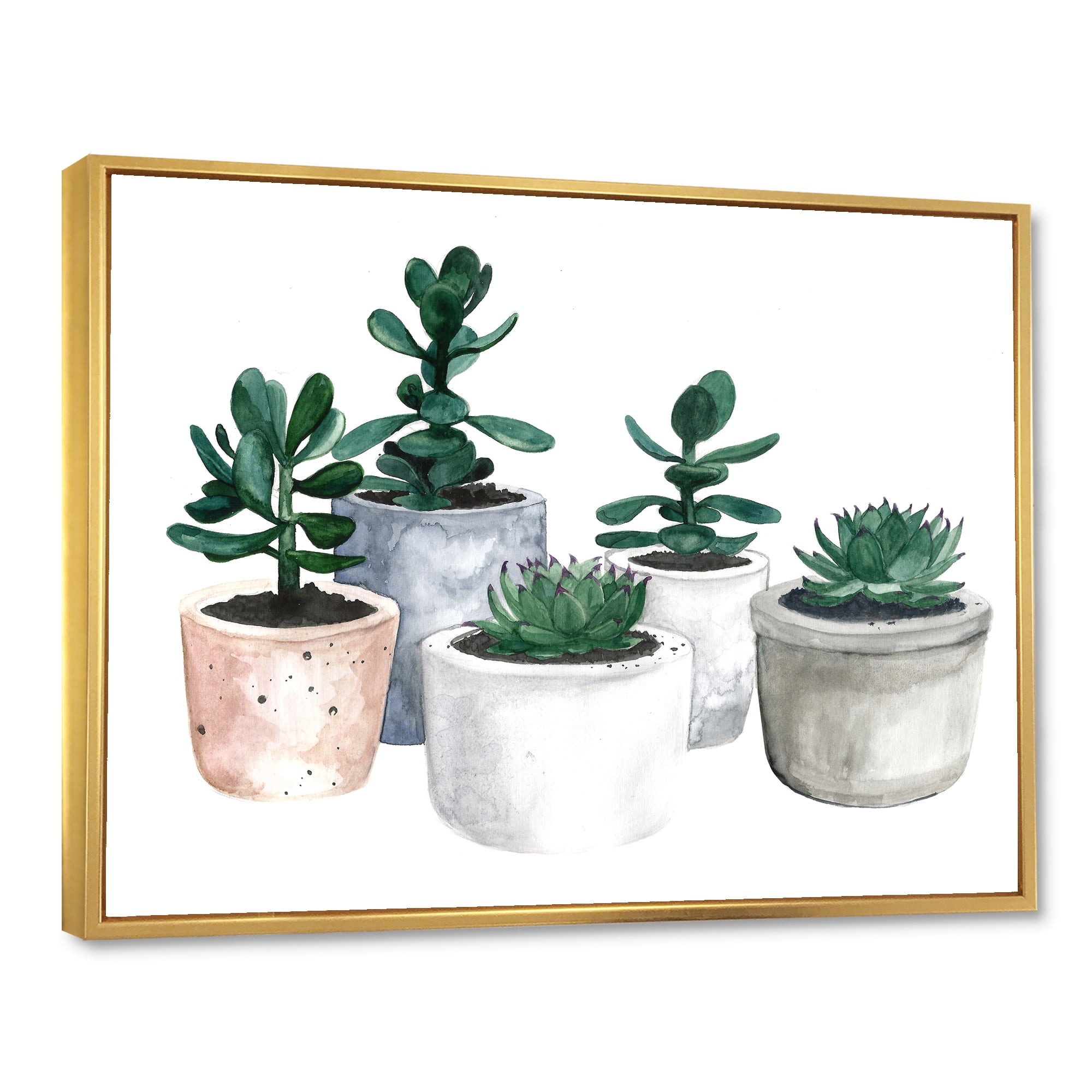 Designart 'Succulent and Cactus House Plants VI' Farmhouse Framed Canvas Wall Art Print