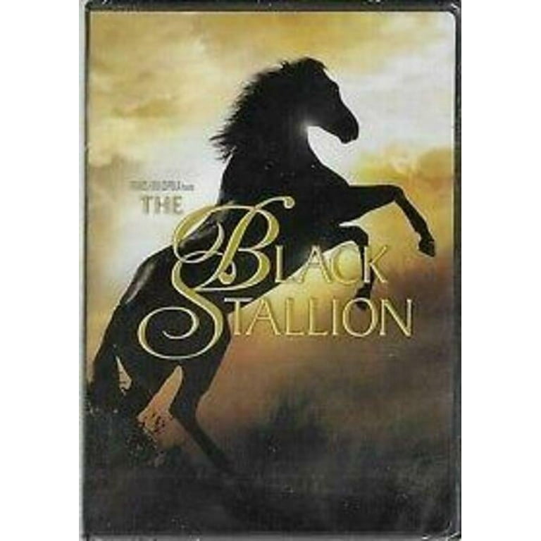 The Black Stallion (DVD New Box Art) [DVD] - Walmart.com