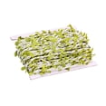thumbnail image 4 of Guirnalda de hojas de follaje de cinta de hojas para decoraciones de aulas Blanco 20m Zulema Hilo de hoja verde trenzado, 4 of 8