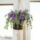 thumbnail image 3 of Glorias de La Mañana Artificiales, Flores Artificiales para Coral de Interior y Exterior, Colores Brillantes, Pétalos de Seda Realistas, No Necesitan Luz Solar Ni Agua, Perfectas para El Día de La Ma, 3 of 5