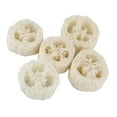 thumbnail image 1 of 5x Pot Bowl Sponge Scrubber Useful Kitchen Gears, 1 of 8