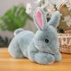 thumbnail image 1 of 30-50cm Cute Real Life Rabbit Toys Stuffed Lovely Simulated Soft Animal Plush Doll For Kids Children Soft Pillow Nice Giftgreen50cm Deng Xun unisex, 1 of 2