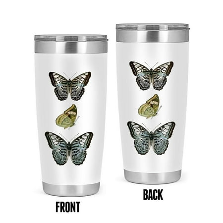 

World Art Group Butterfly Specimen I Tumbler -Vision Studio Designs 20 oz Stainless Steel Tumbler