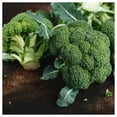 thumbnail image 2 of Everwilde Farms - 1 oz Waltham 29 Broccoli Seeds - Gold Vault Bulk Seed Packet, 2 of 3
