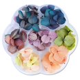 thumbnail image 1 of Nail Dried Flowers,50Pcs 3D Dry Flowers Nail Stickers Nail Supplies Colorful Natural Dried Flowers Nail Decals, 1 of 4