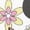 Bright White, variant on Disney Minnie Mouse Women's Cat Flowers T-Shirt (Bright White, S-XXL)