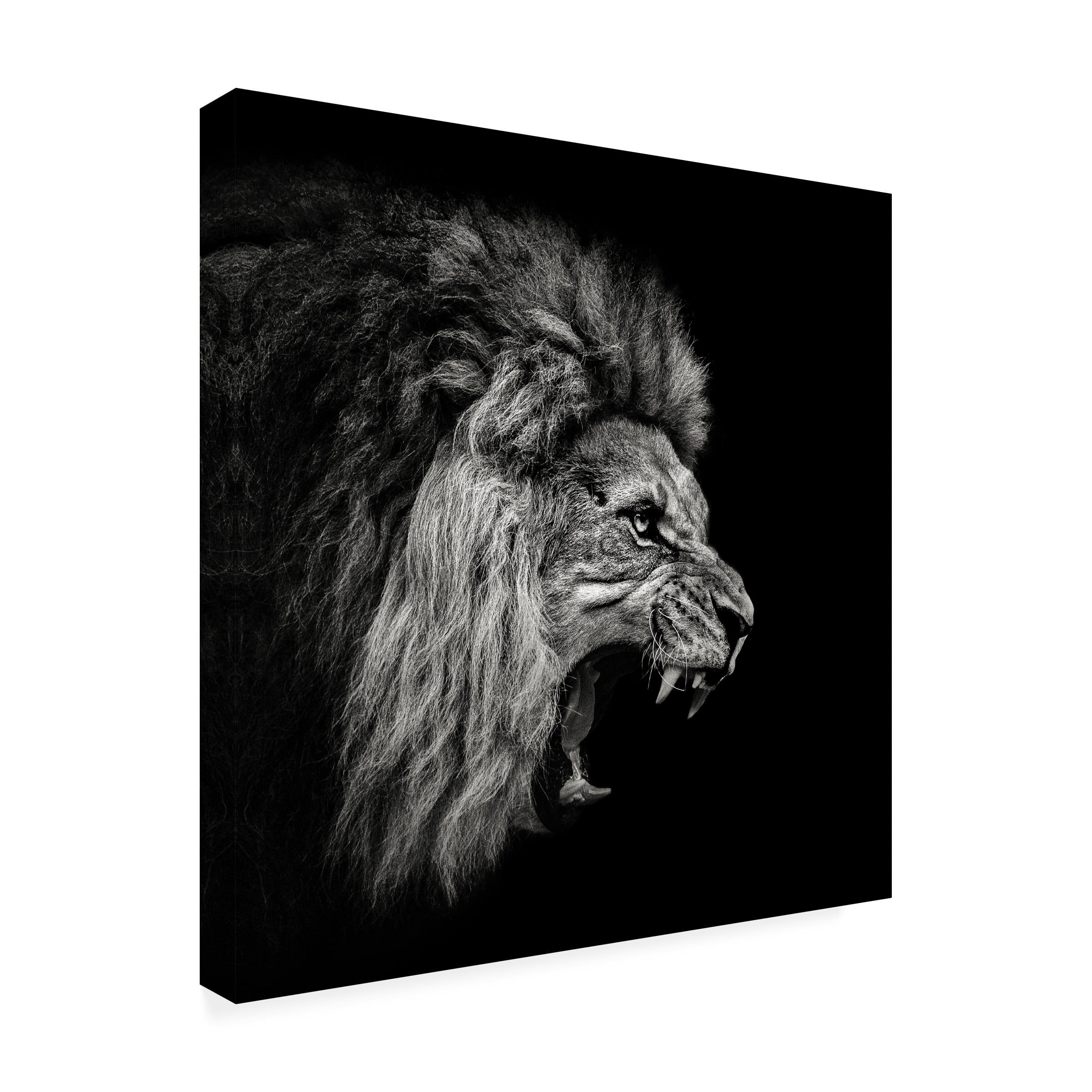 Christian Meermann 'Roaring Lion 2' Canvas Art
