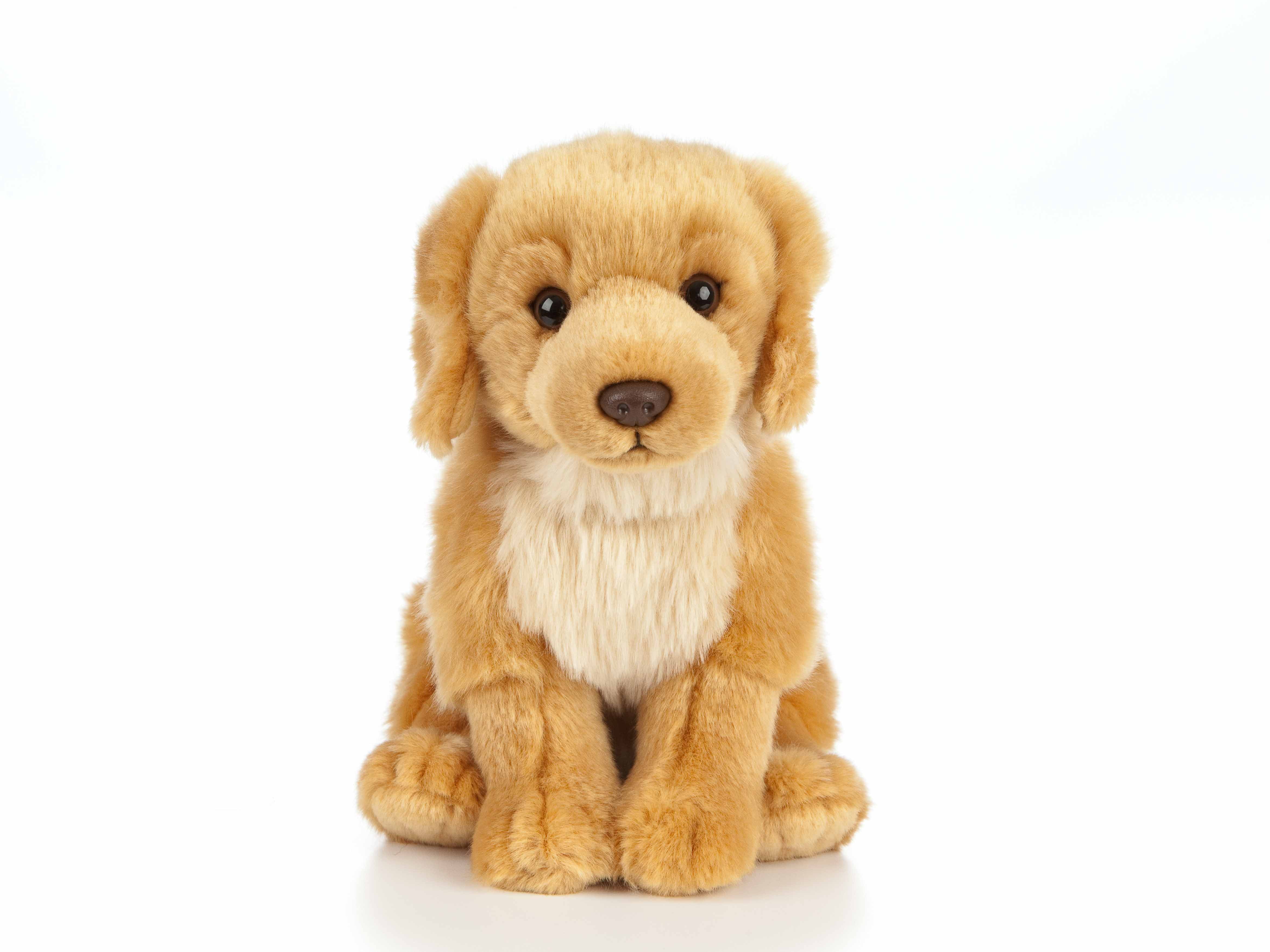golden retriever plush toy